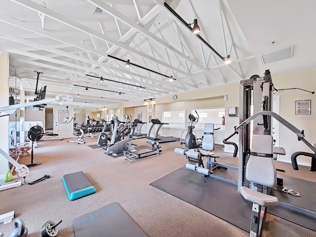2400 Feather Sound Dr Unit 735, Clearwater, FL 33762 - exercise room featuring carpet and lofted ceiling