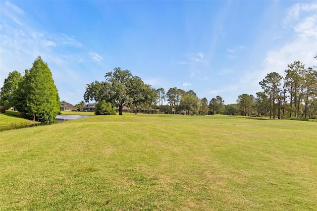 23935 Coral Ridge Ln, Land O Lakes, FL 34639 - view of green lawn featuring a water view