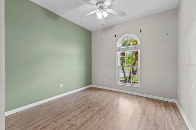 23935 Coral Ridge Ln, Land O Lakes, FL 34639 - photo 23