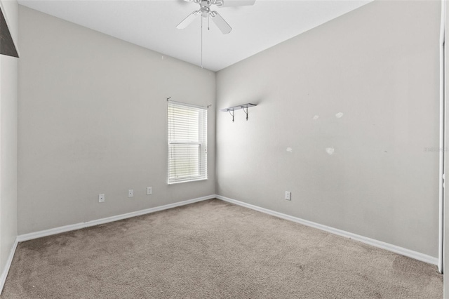 23935 Coral Ridge Ln, Land O Lakes, FL 34639 - photo 27