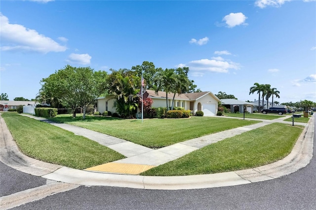 ranch-style home with driveway, an attached garage, and a front lawn