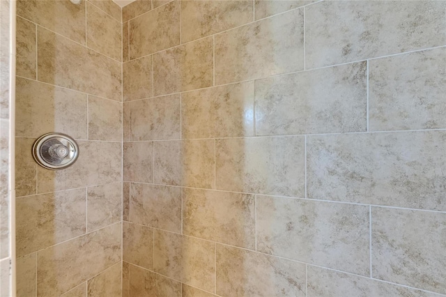 1420 Bayshore Blvd Unit 409, Dunedin, FL 34698 - bathroom view of tiled shower
