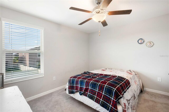 9617 Channing Hill Dr, Ruskin, FL 33573 - bedroom with multiple windows, carpet, and baseboards