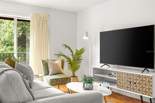 living room with wood finished floors