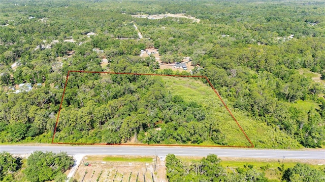 Treiman Blvd, Webster, FL 33597