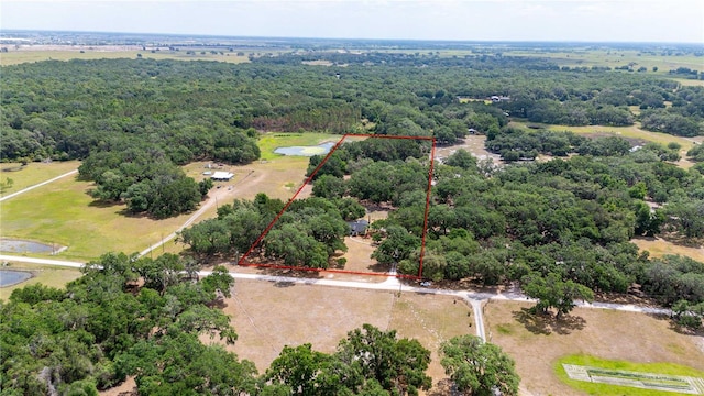 Treiman Blvd, Webster, FL 33597
