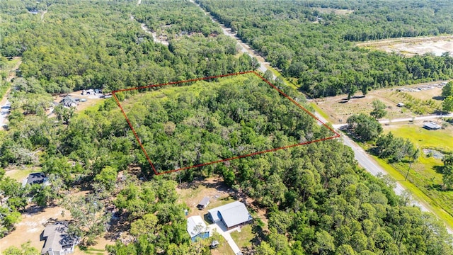 Treiman Blvd, Webster, FL 33597