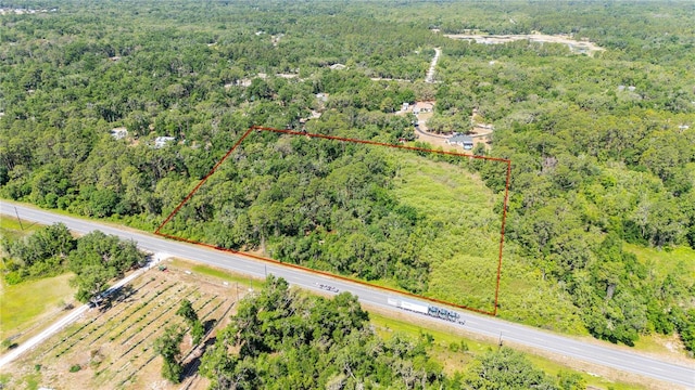 Treiman Blvd, Webster, FL 33597