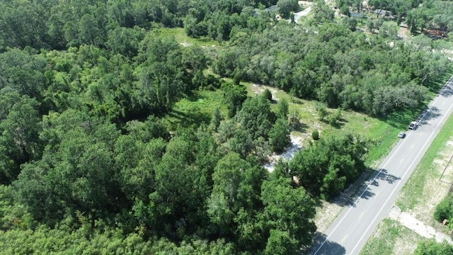 7149 Treiman Blvd, Webster, FL 33597 - photo 8