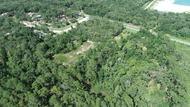 7149 Treiman Blvd, Webster, FL 33597 - photo 2