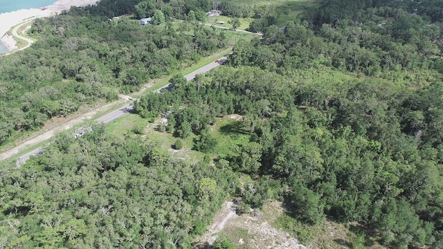 7149 Treiman Blvd, Webster, FL 33597 - photo 5