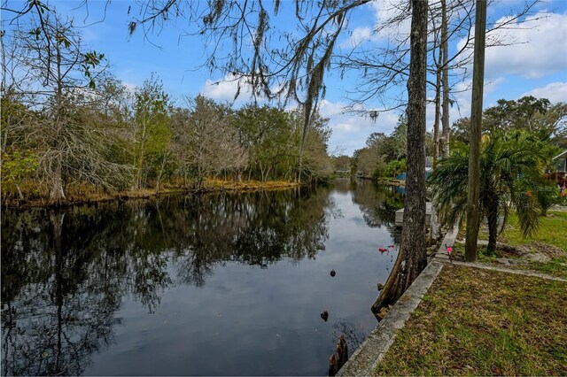 11199 E Tarpon Ct, Floral City, FL 34436 - photo 23