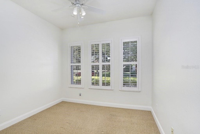 11644 Meridian Point Dr, Tampa, FL 33626 - photo 7