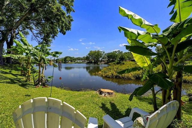 property view of water