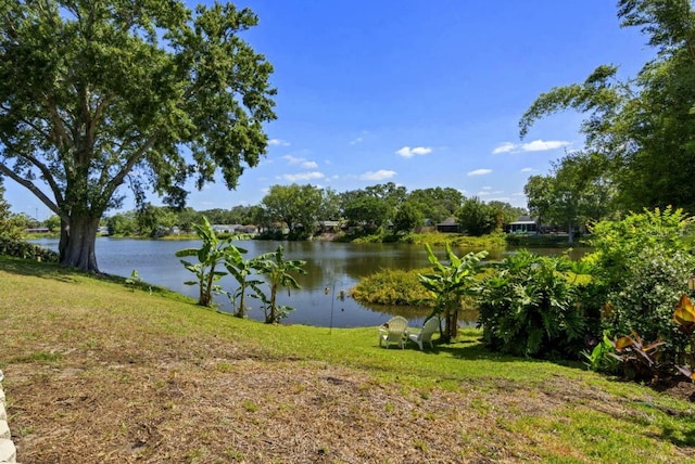water view