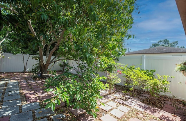 view of yard with a fenced backyard and a patio area