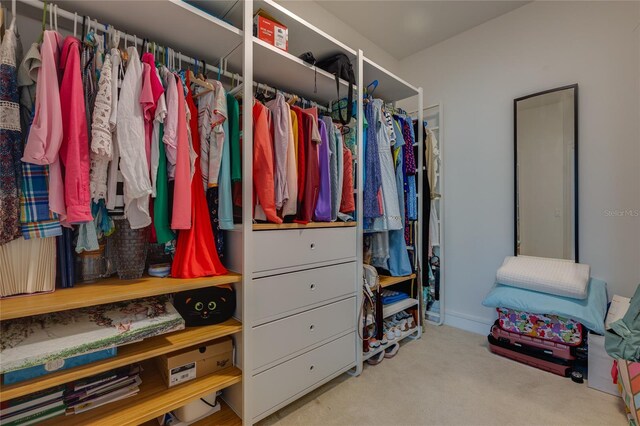 spacious closet featuring carpet floors