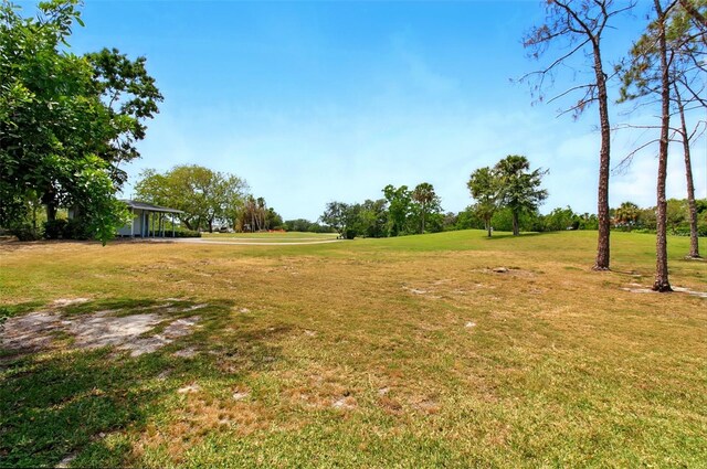 1671 Cape Ann Ave NE Unit 4, Saint Petersburg, FL 33702 - view of yard