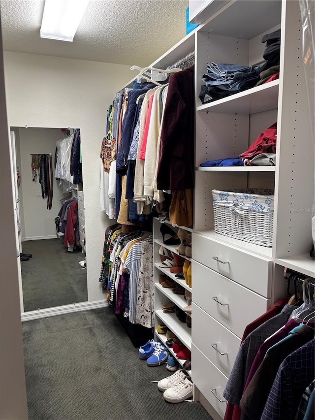 spacious closet featuring carpet floors