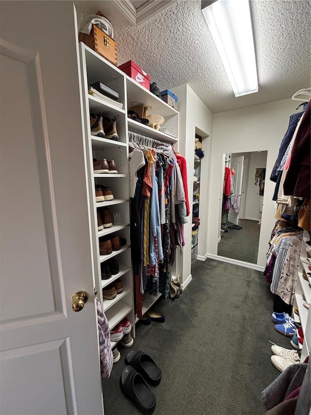 walk in closet with carpet