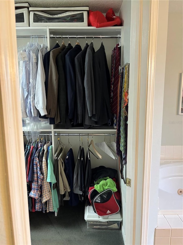 view of closet