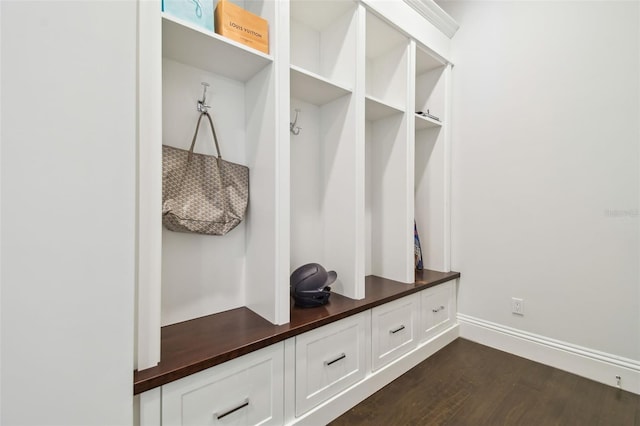 2604 S Bryant Cir, Tampa, FL 33629 - mudroom with dark wood finished floors and baseboards