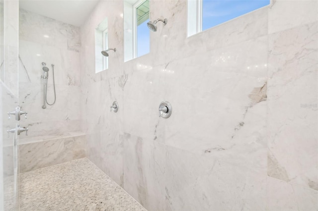 2604 S Bryant Cir, Tampa, FL 33629 - bathroom featuring a marble finish shower