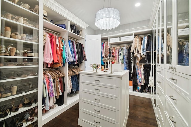 2604 S Bryant Cir, Tampa, FL 33629 - walk in closet featuring dark wood-style floors and a chandelier