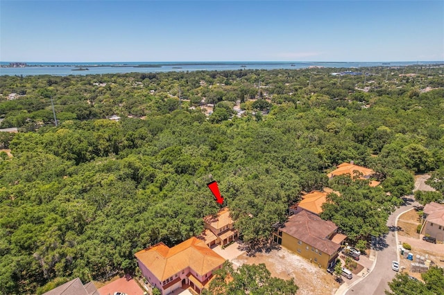 1966 Freedom Dr, Clearwater, FL 33755 - drone / aerial view of a forest and a large body of water