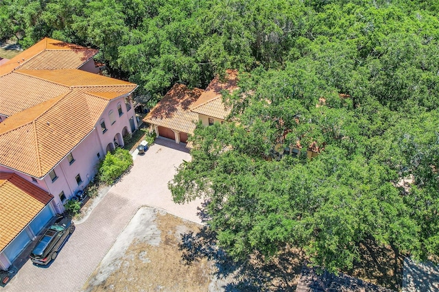 1966 Freedom Dr, Clearwater, FL 33755 - view of subject property featuring a heavily wooded area