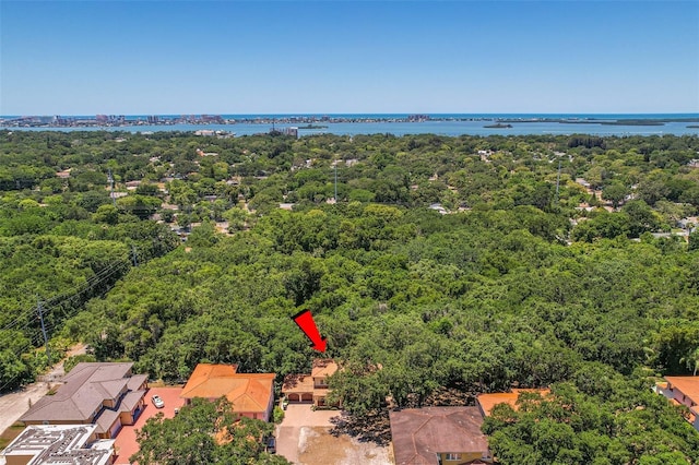 1966 Freedom Dr, Clearwater, FL 33755 - aerial view of a heavily wooded area and a nearby body of water