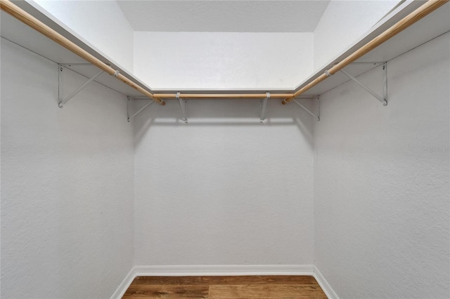 11932 Whisper Creek Dr, Riverview, FL 33569 - walk in closet with wood finished floors