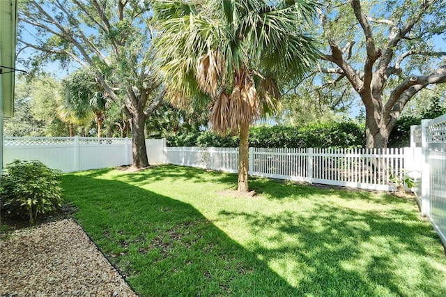 11932 Whisper Creek Dr, Riverview, FL 33569 - view of yard