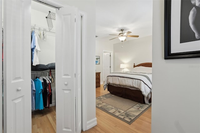 bedroom featuring a walk in closet, light wood-type flooring, a ceiling fan, and a closet