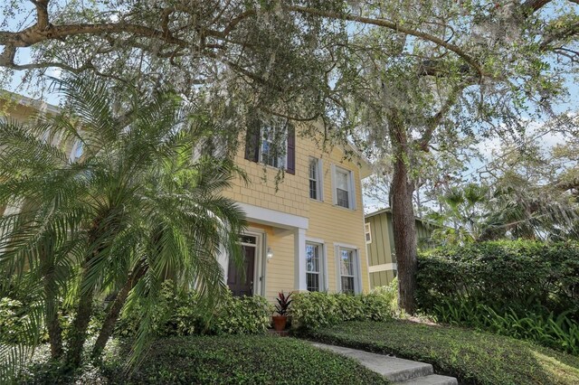 316 5th Ave N, Safety Harbor, FL 34695 - photo 3