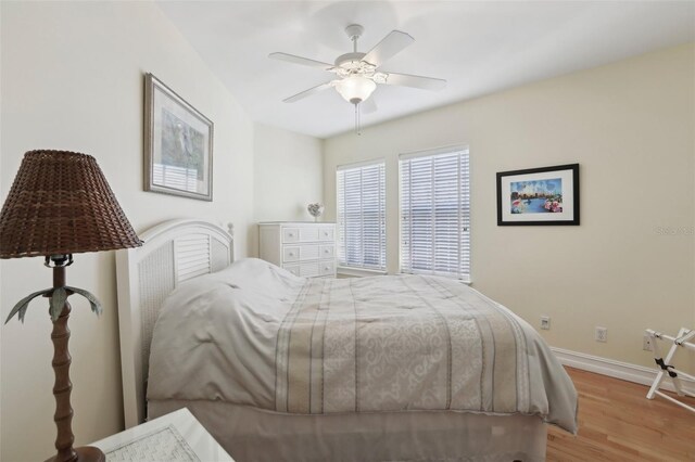 316 5th Ave N, Safety Harbor, FL 34695 - photo 19