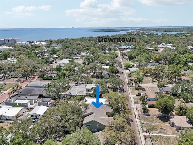 316 5th Ave N, Safety Harbor, FL 34695 - photo 34