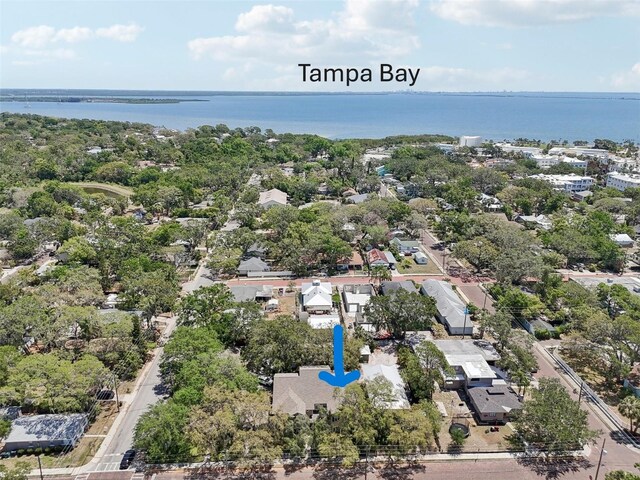 316 5th Ave N, Safety Harbor, FL 34695 - photo 35