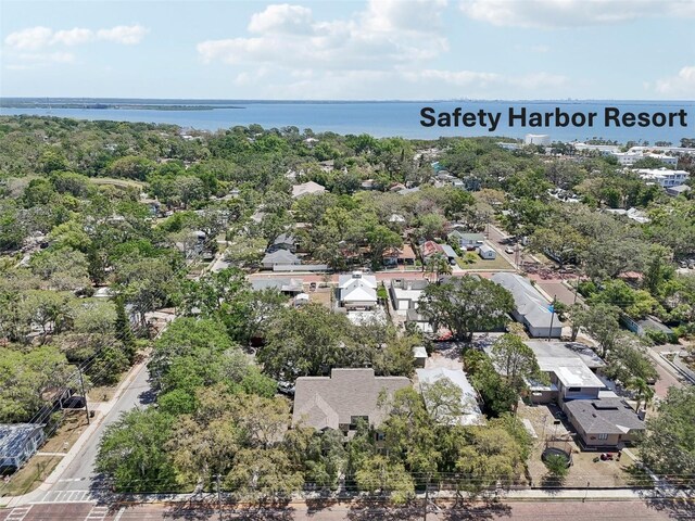 316 5th Ave N, Safety Harbor, FL 34695 - photo 36