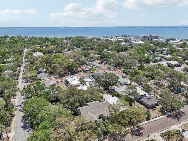 316 5th Ave N, Safety Harbor, FL 34695 - photo 37