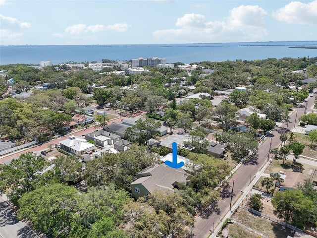 316 5th Ave N, Safety Harbor, FL 34695 - photo 38
