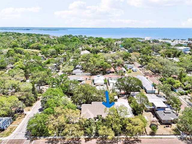 316 5th Ave N, Safety Harbor, FL 34695 - photo 2