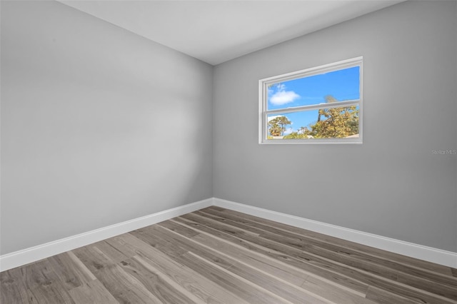 660 Palm Ave, Tarpon Springs, FL 34689 - unfurnished room featuring wood finished floors and baseboards