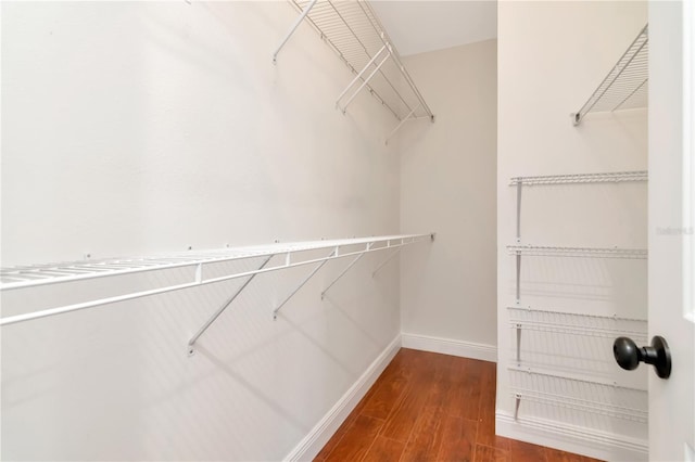 spacious closet featuring wood finished floors
