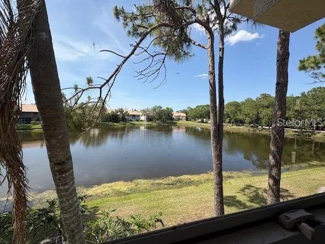 114 Clays Trl Unit 114, Oldsmar, FL 34677 - water view