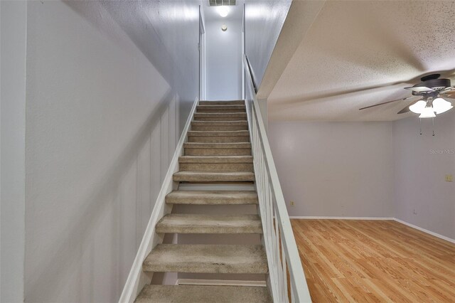 1883 Clearbrooke Dr, Clearwater, FL 33760 - photo 12