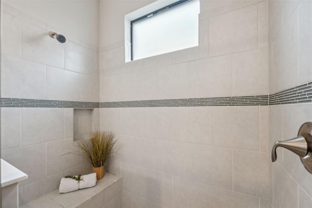 17537 Brighton Lake Rd, Land O Lakes, FL 34638 - full bath featuring a tile shower
