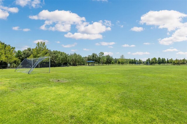 17537 Brighton Lake Rd, Land O Lakes, FL 34638 - view of yard