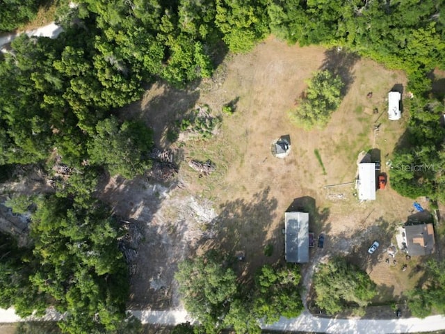 20460-20462 Trilby Cutoff Rd, Dade City, FL 33523 - photo 6