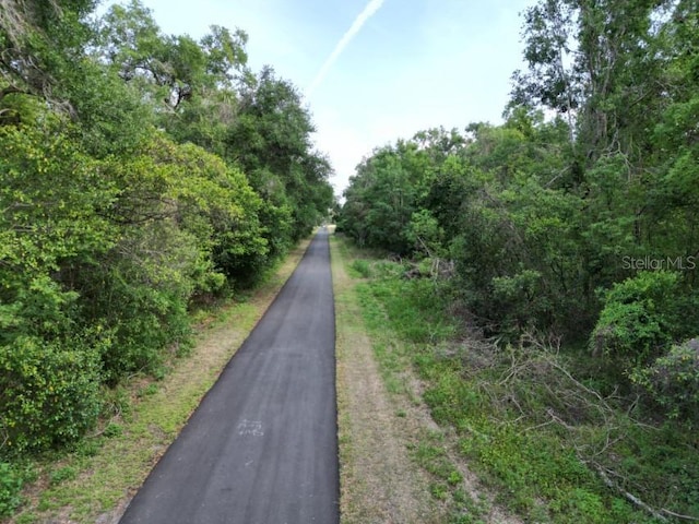 20460-20462 Trilby Cutoff Rd, Dade City, FL 33523 - photo 7